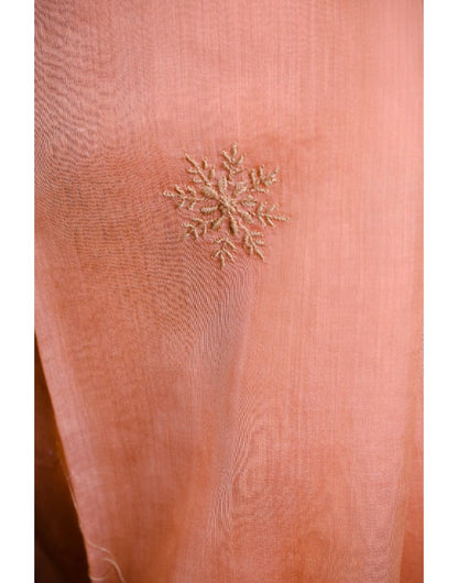 Maheshwari Saree (Peach & Brown)