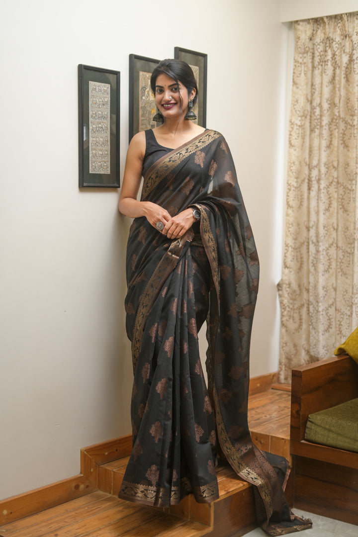 Black cotton silk saree