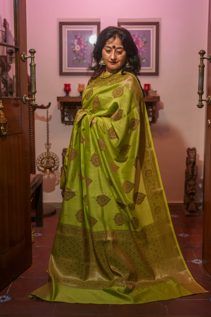 Light green cotton silk Saree