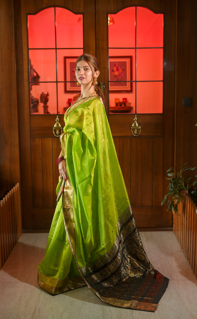 Parrot green Peshwai silk saree