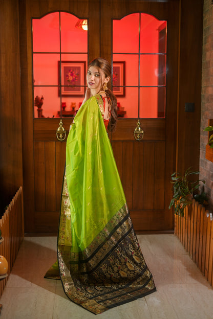 Parrot green Peshwai silk saree