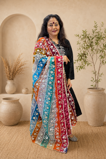 Multicoloured Organza Dupatta