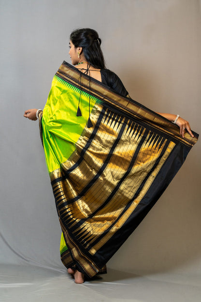 HANDWOVEN NARAYANPETH SILK