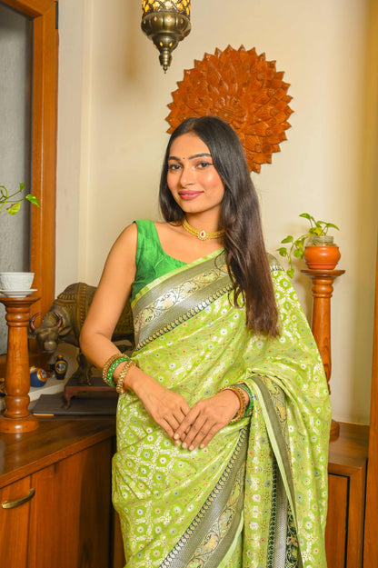 Pista Green and Dark Green Combination Saree