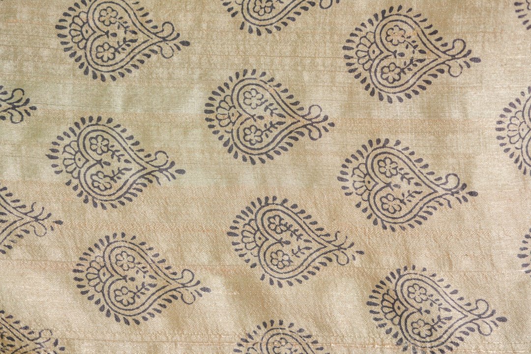 Beige Bagh Print Silk Saree - zameeni