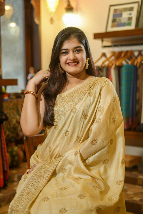 Light Brown Embroidered Saree