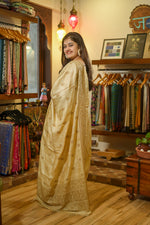Load image into Gallery viewer, Light Brown Embroidered Saree
